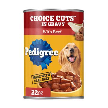 Pedigree Choice Cuts In Gravy With Beef Wet Dog Food, 22 oz