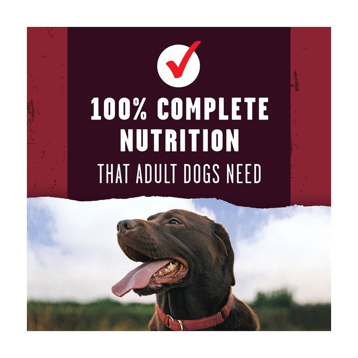 Purina Alpo Prime Cuts Dry Dog Food - Savory Beef, 31 lb — view 2