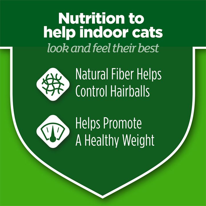 Purina Cat Chow Indoor Dry Cat Food, Hairball + Healthy Weight — view 2