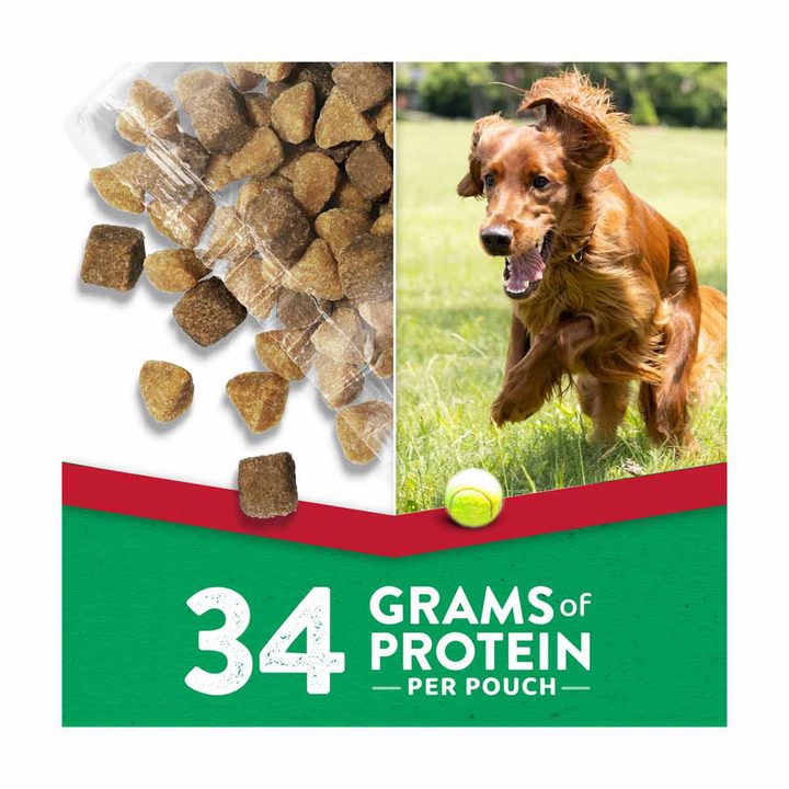 Purina Dog Chow Grilled Steak Flavor Soft Bites Dog Food Pouches, 72 oz -12 ct — view 4