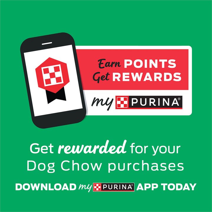 Purina Dog Chow Complete Adult Dry Dog Food Kibble Beef Flavor — view 3