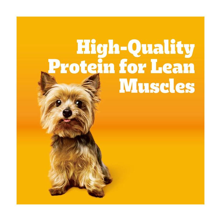 Pedigree With Tender Bites for Small Dogs Adult Dry Dog Food, Chicken and Steak Flavor, 3.5 lb. Bag — view 3