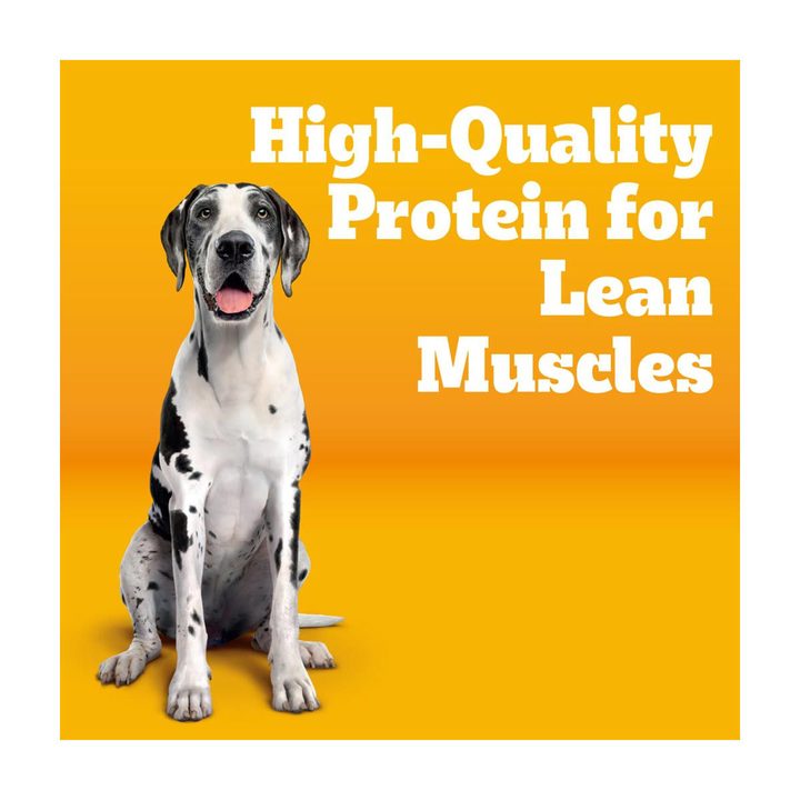 Pedigree Large Breed Dry Dog Food, Roasted Chicken, Rice and Vegetable Flavor, 14 lb. Bag — view 2