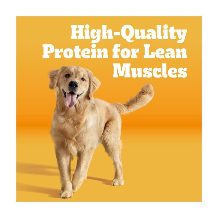 Pedigree High Protein Adult Dry Dog Food, Chicken and Turkey Flavor, 14 lb. Bag — view 2