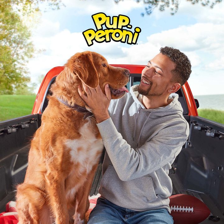 Pup-Peroni Original Beef Recipe Dog Treats, 8.2 Oz. Bag — view 2